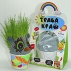 ТраваКраш сова (109)
